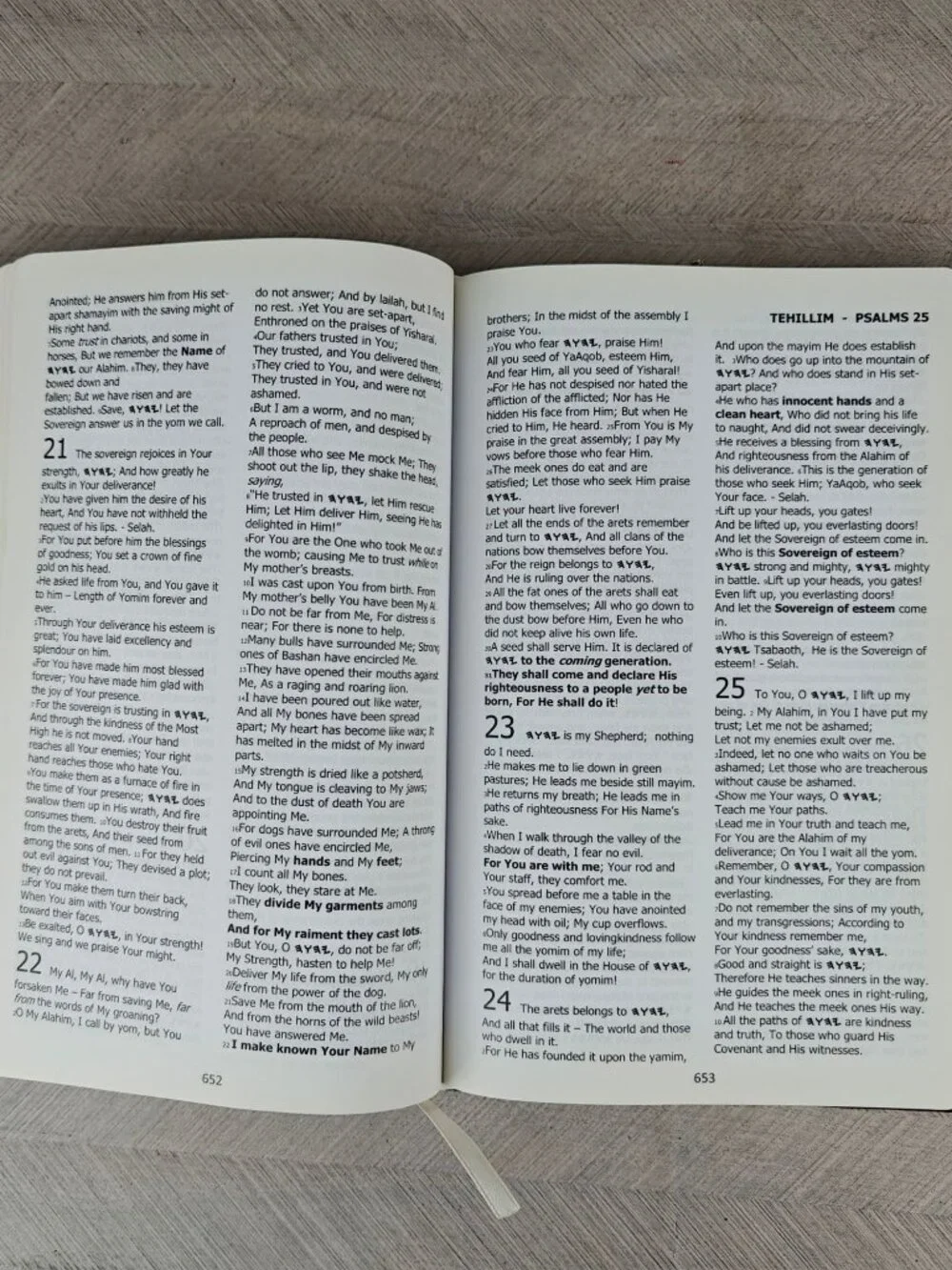 BYNV Besorah of Yahusha Natsarim Version Translation Lew White 2014 Hardcover